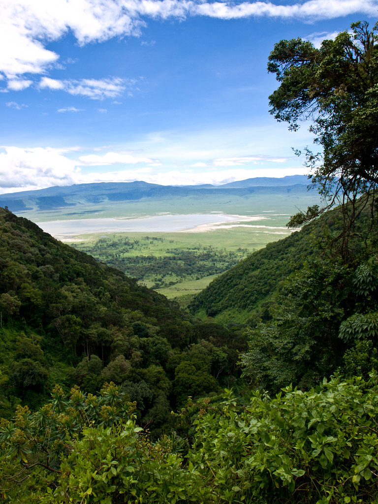 Looking Down into the Ngorongoro Crater