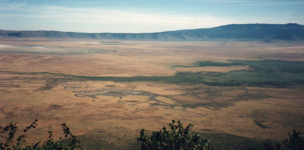 Ngorongoro Creater