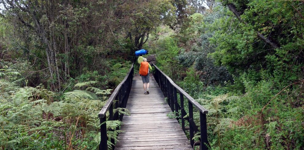 Crossing a footbridge on the Rongai Route