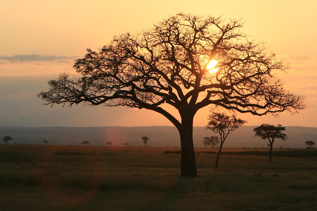 Tanzania - Mikumi