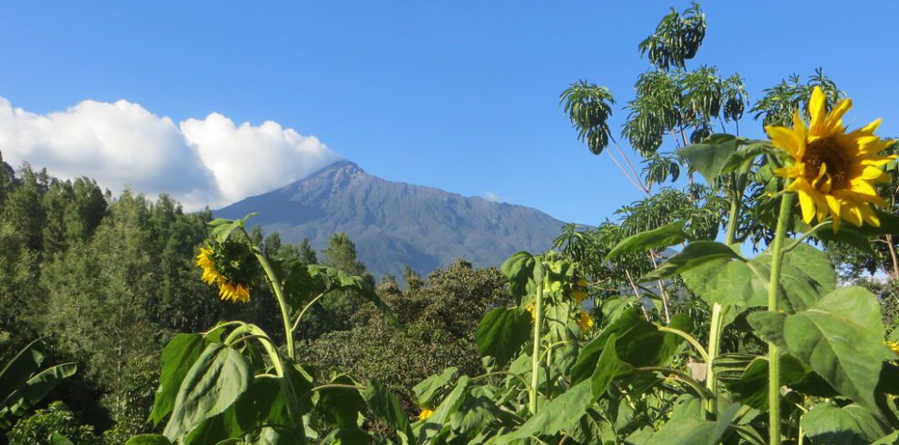 Mount Meru, Arusha