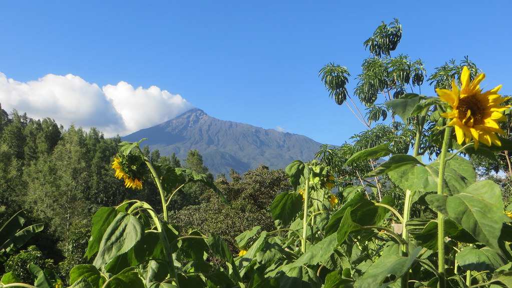 Mount Meru, Arusha