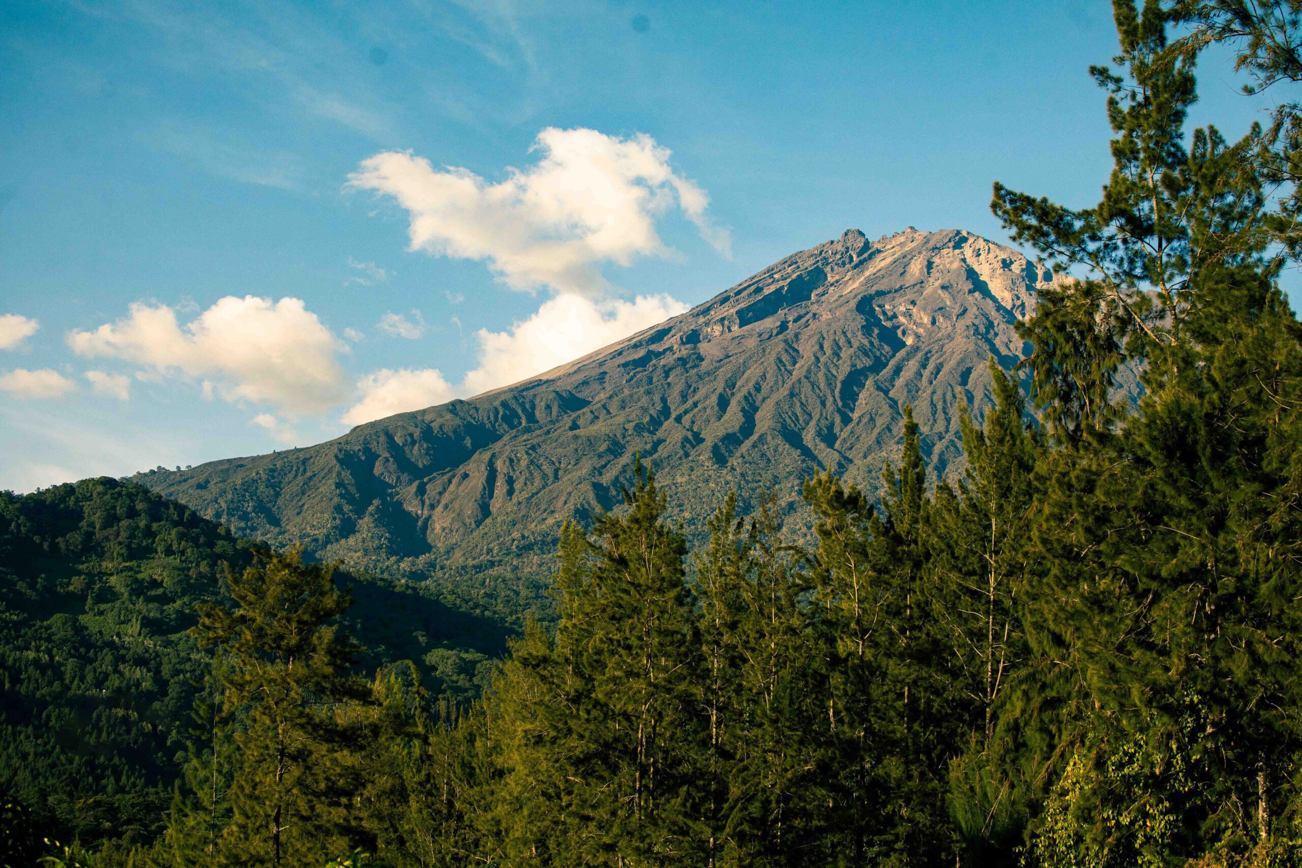 View of Mount Meru Arusha